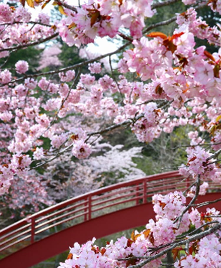 子野日公園