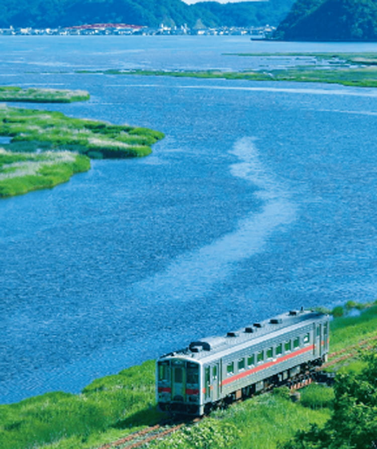 別寒辺牛湿原