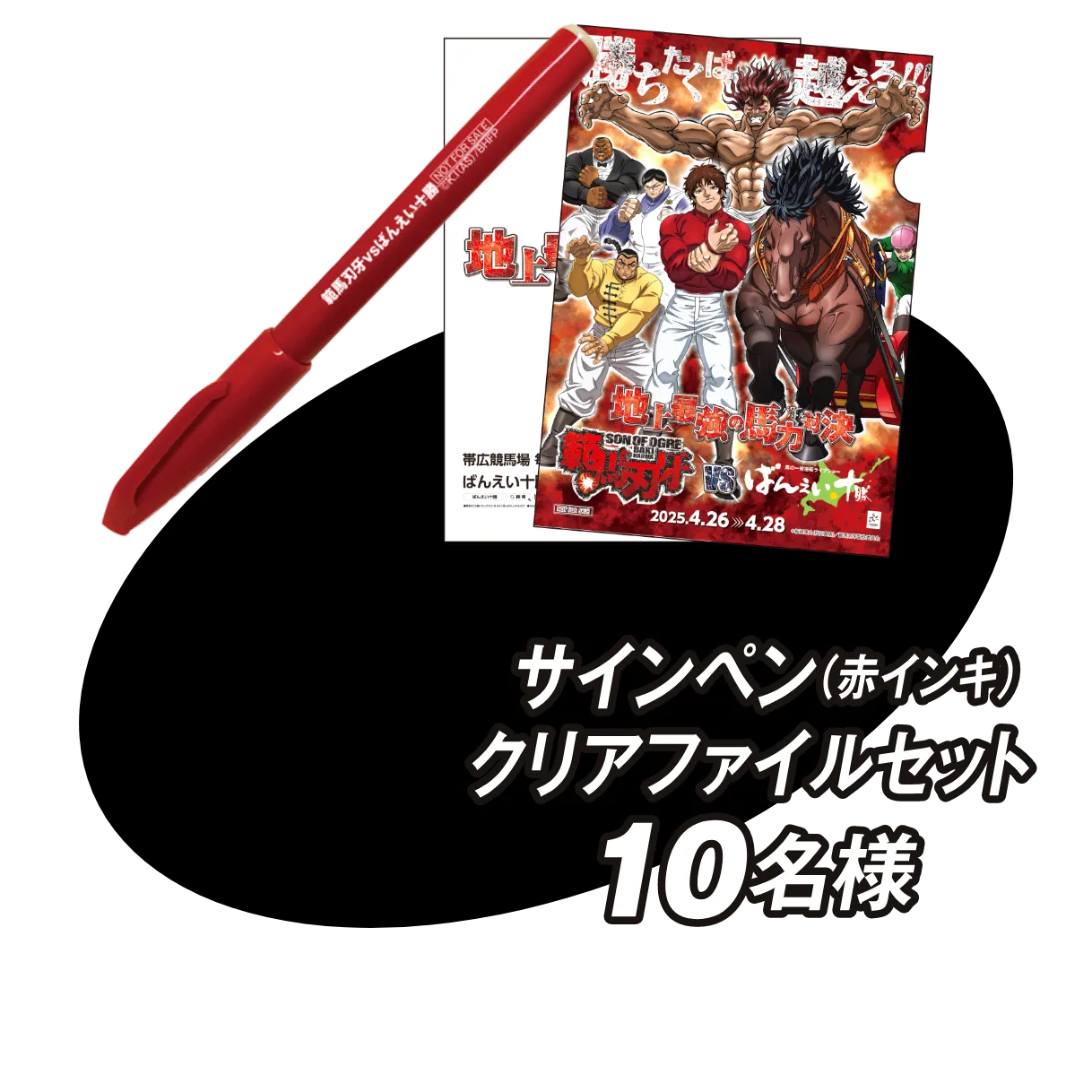 サインペン（赤インキ）クリアファイルセット10名様
