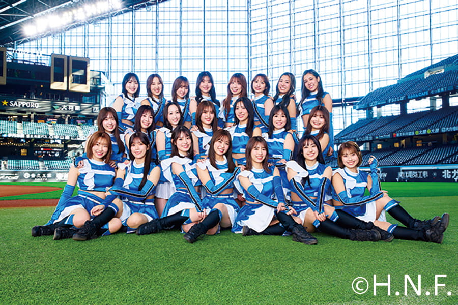 ファイターズガール