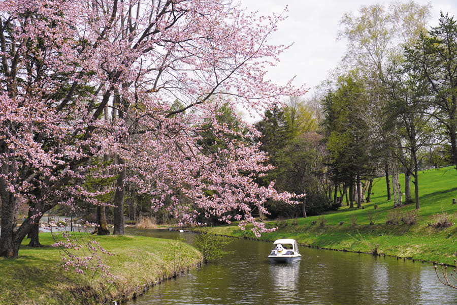 清水公園