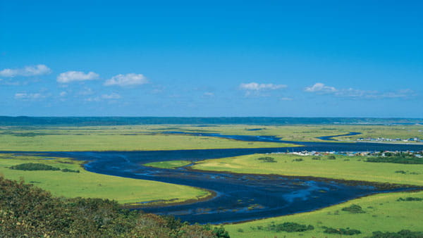 秋の霧多布湿原