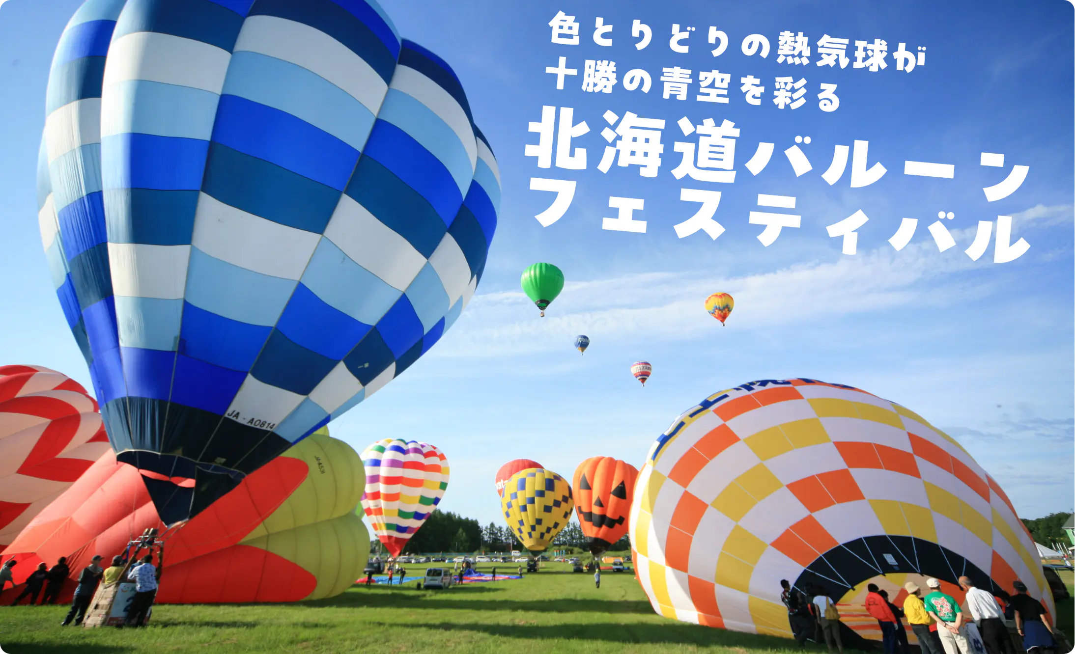 色とりどりの熱気球が十勝の青空を彩る　北海道バルーンフェスティバル