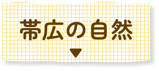 帯広の自然