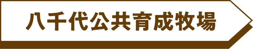 八千代公共育成牧場