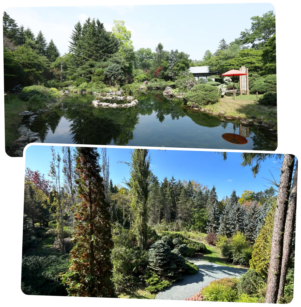 真鍋庭園の風景