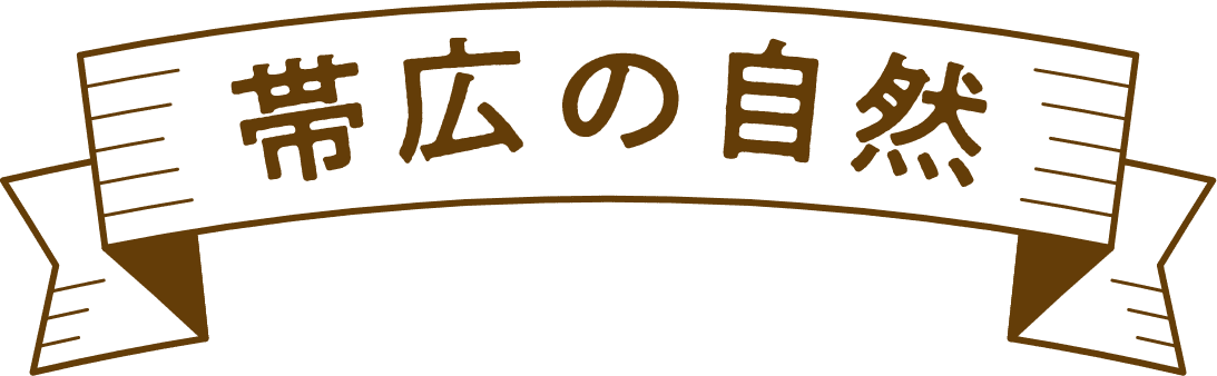 帯広の自然