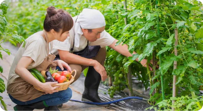 移住就職応援プラン