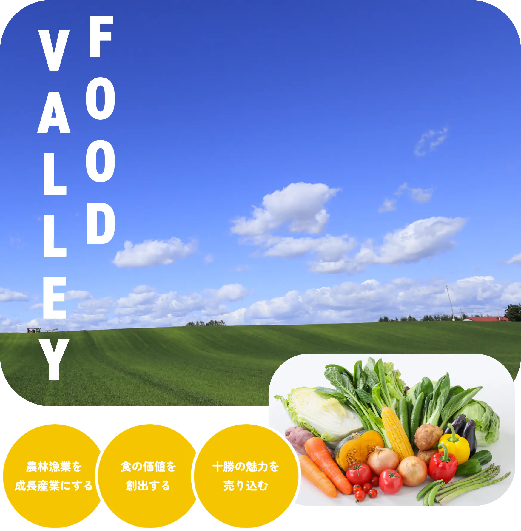 FOOD VALLEY