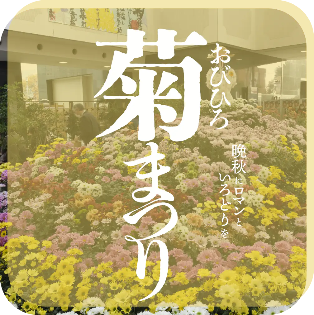 おびひろ菊まつり