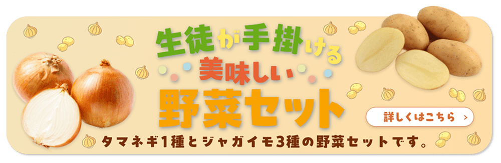 生徒が手掛ける美味しい野菜セット タマネギ1種とジャガイモ3種の野菜セットです。