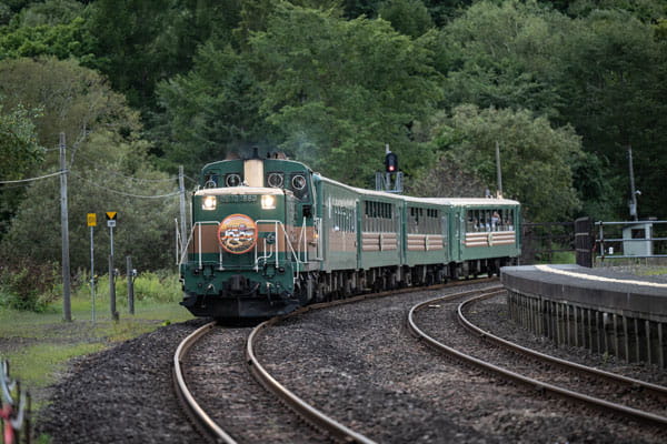 くしろ湿原ノロッコ号