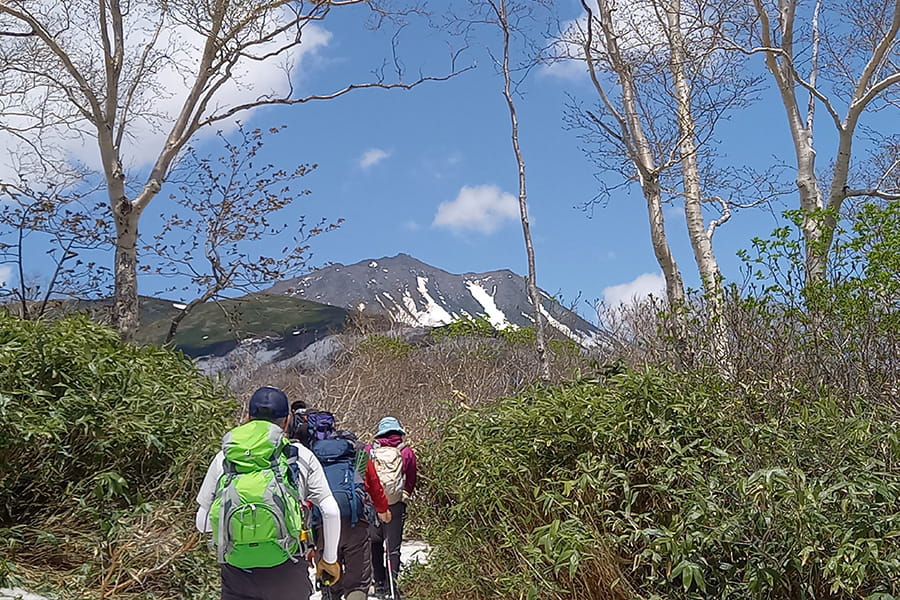 日本百名山 トムラウシ山（登山）