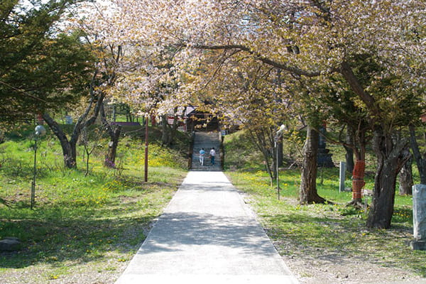 新得山神社の桜