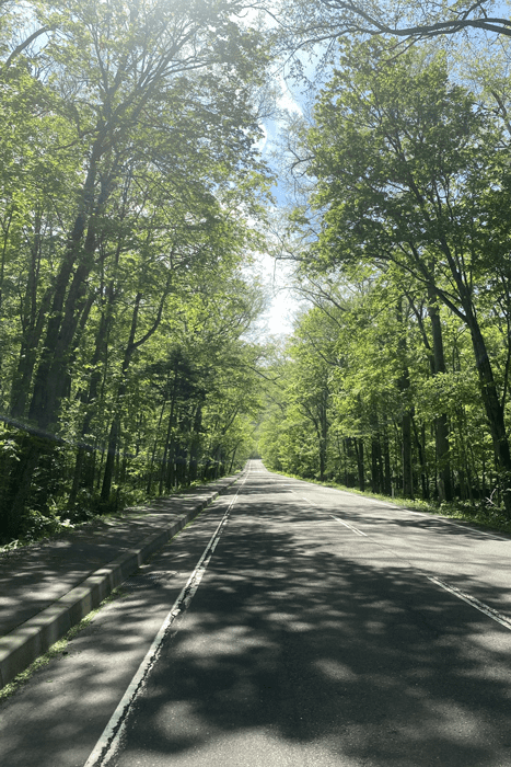 サイクリング道